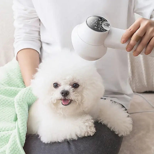 2-in-1 Smart Dog Hair Dryer & Brush