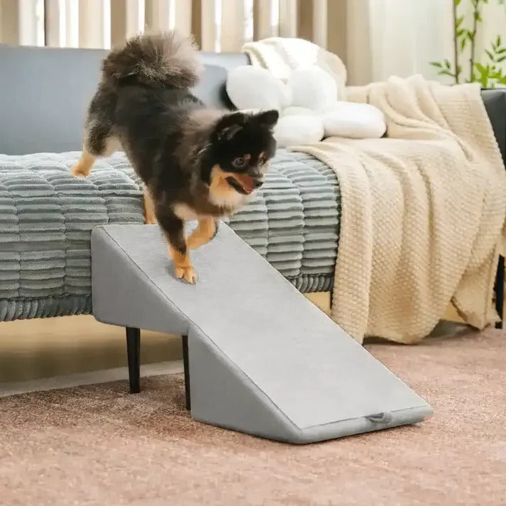 2-in-1 Convertible Dog Ramp & Step Stool