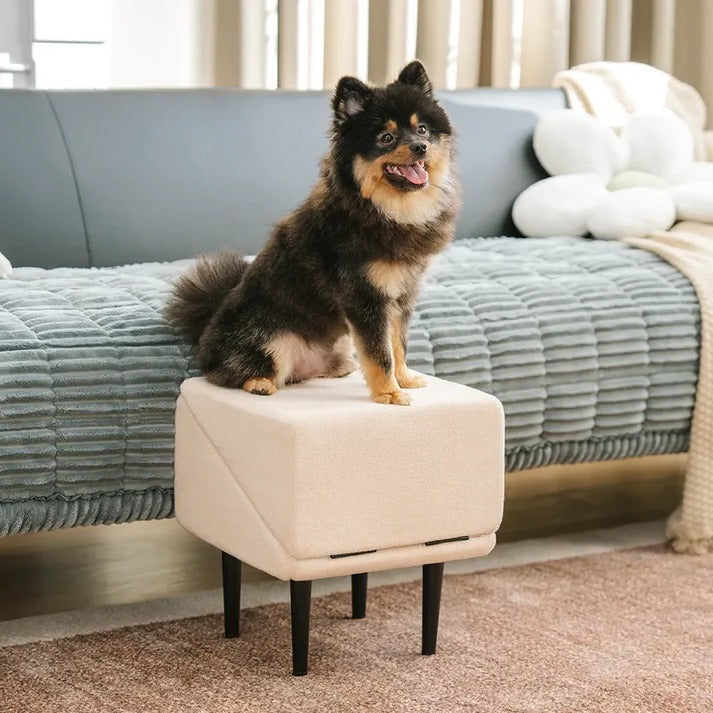 2-in-1 Convertible Dog Ramp & Step Stool