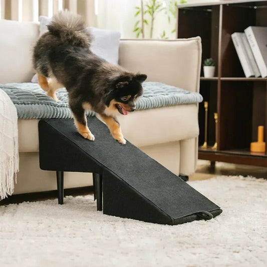 2-in-1 Convertible Dog Ramp & Step Stool